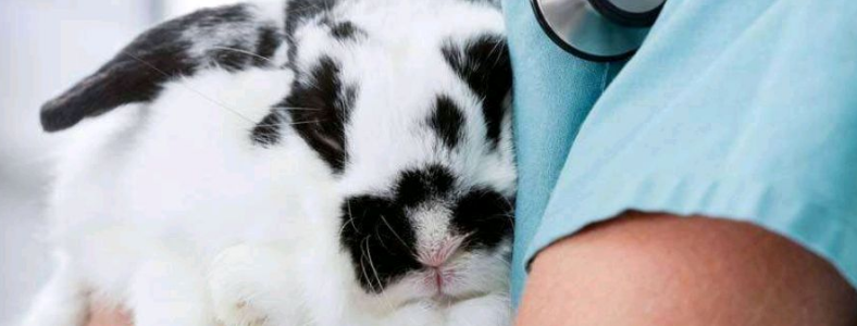 ����ҩѧרҵ���з���