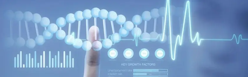 ����������ʦ��ŷ��ö���