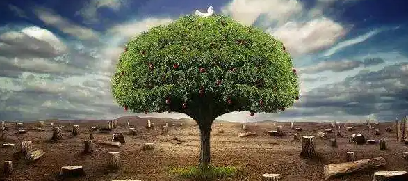 ��������ʦ���Ǳ����ܱ�����