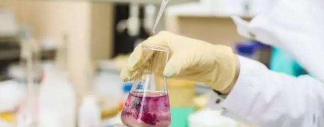 ִҵҽʦ���ܿ�������