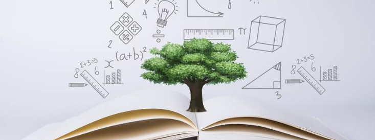 ��ѧ������ʲôѧ��