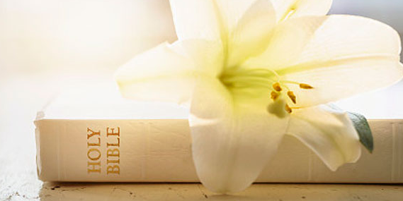 ƽ�������ʦ��Ҫѧʲô