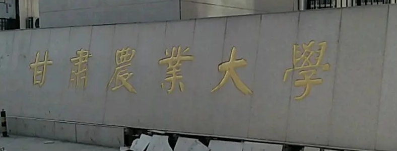 ��ҵ��ѧ���п�Ŀ