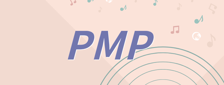 PMP����