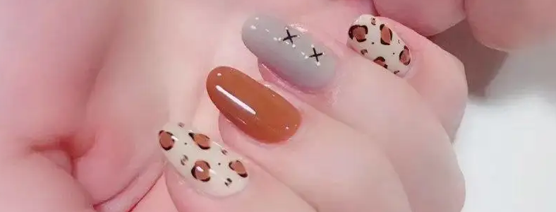 ѧ���׹��ʸ���