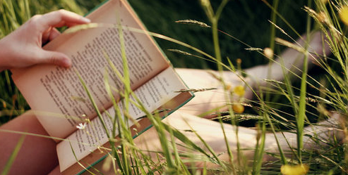 ��ѧ���Եĺ������߲���