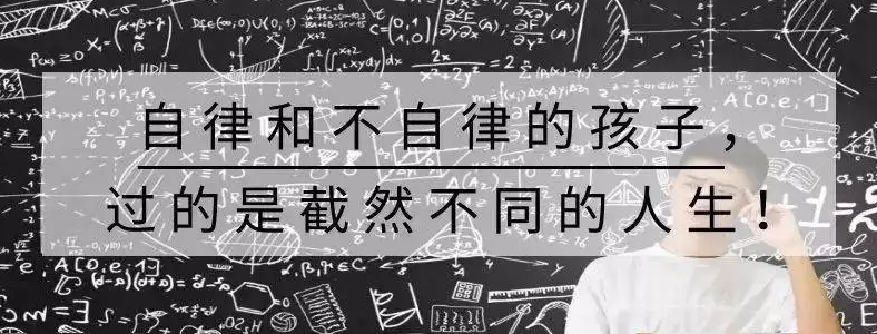 ��ĸӦ�������������ӵ�����