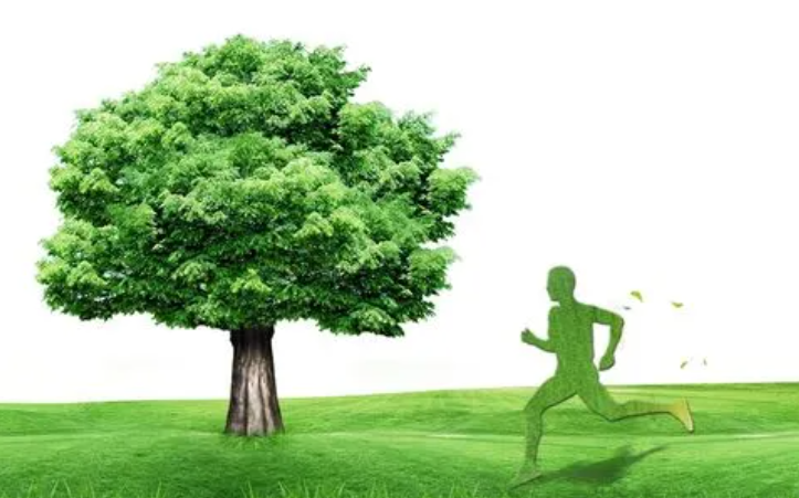 �Ĵ���������ʦ���˱�������