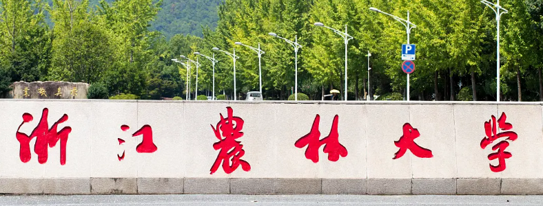 �羰԰��ר˶���п���Щ��Ŀ