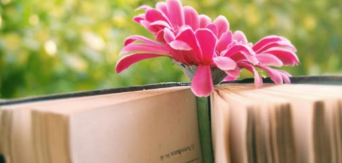 ע��Ӫ��ʦ��������2022���¹涨