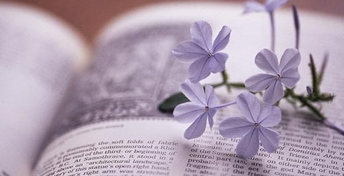 �ļ�������Դ����ʦ�в�����