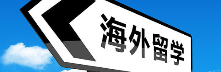 2+2Ӣ����ѧ����ЩԺУ��������