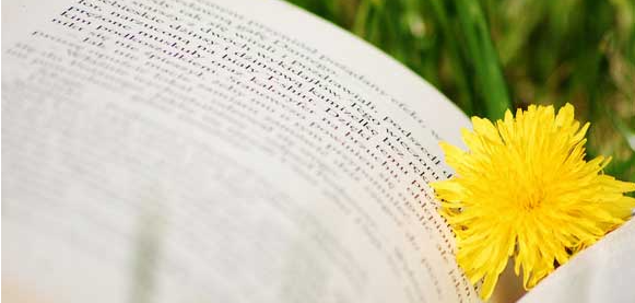 �Կ�ר�����б�Ҫ��