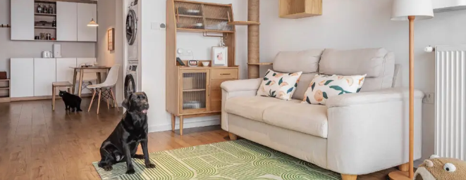 �������ɫ�ʴ�����ôѧ