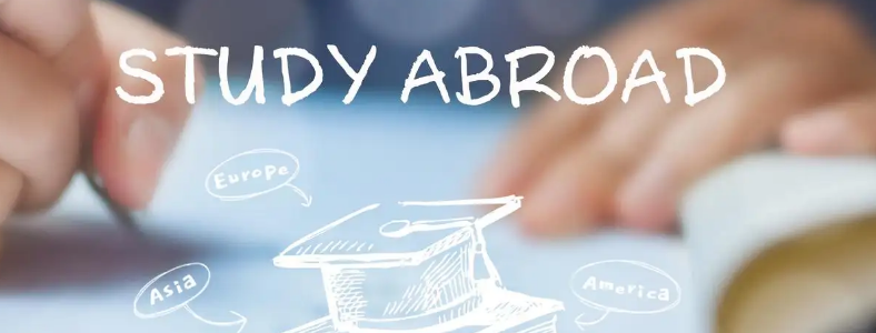 ��ѧ�н�������ʲô