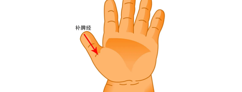 ��С������ʦ֤��������