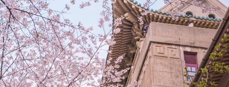 ����ѧ�뼼������ѧУ