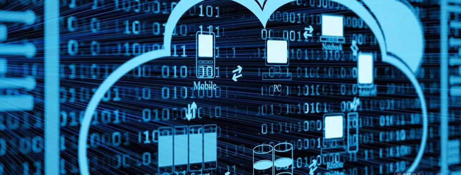 ��ɳ����������ѵ���������е�Bug����֪ʶ��ʲô