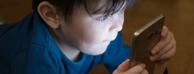 ���꼶���ӳ����ֻ���ô����