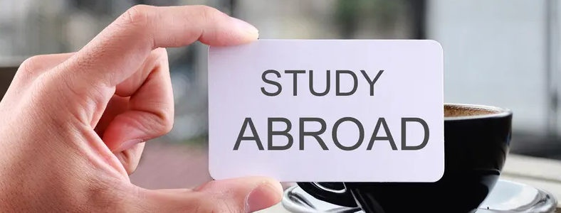 �����о�������