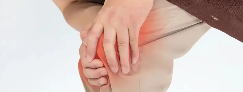 �������ܲ���ϥ����������