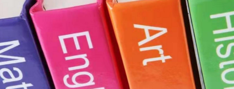 alevel���Կ�Ŀ