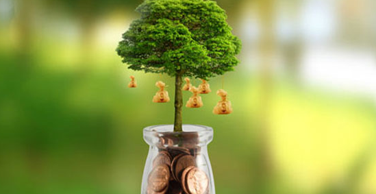 ����Ӫ��ʦ��ѵ������ôѡ��