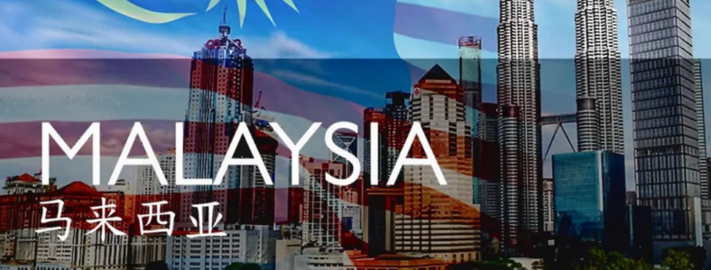 ȥ����������ѧ�ò���