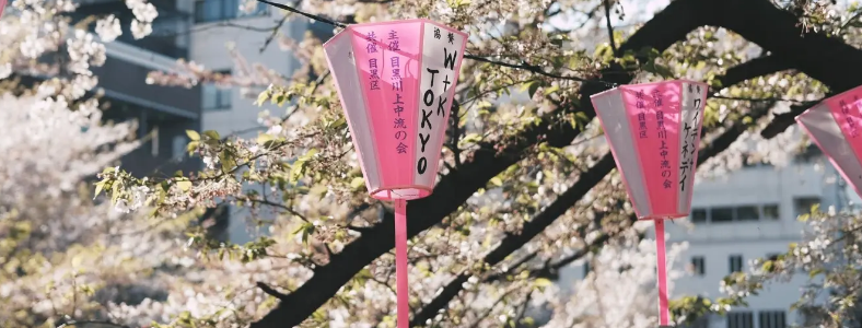 �����Ķ�����⼼��