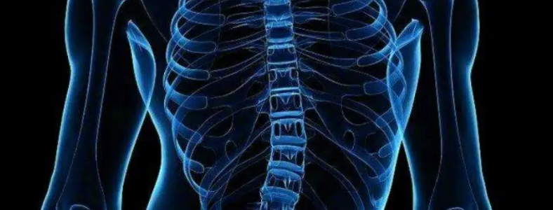 ����������ʲôԭ�������