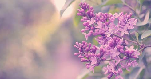 ��������ʦ��ʲô�õ�