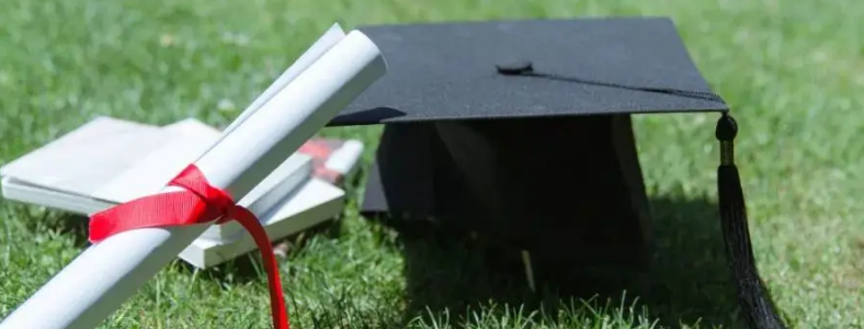 �ӱ�ʡѧ����������