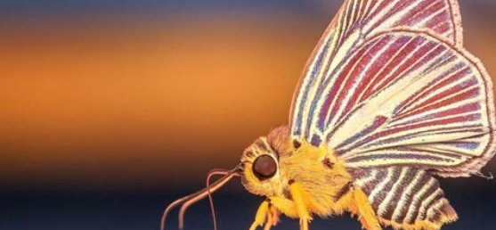 �ҳ����������ȷ���������ڵĺ���