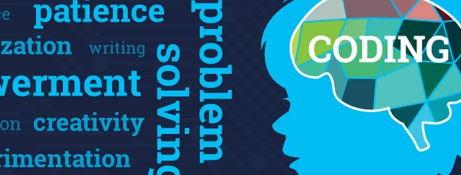 �������ѧϰ����Ѳ���?