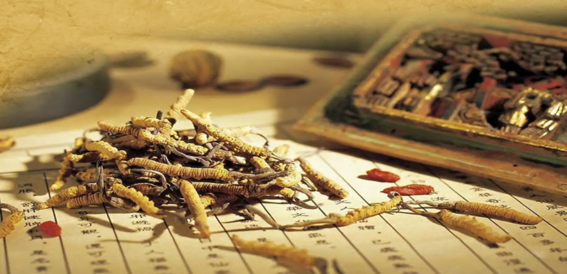 ��ҽ����ר�ʦֵ֤�ÿ���