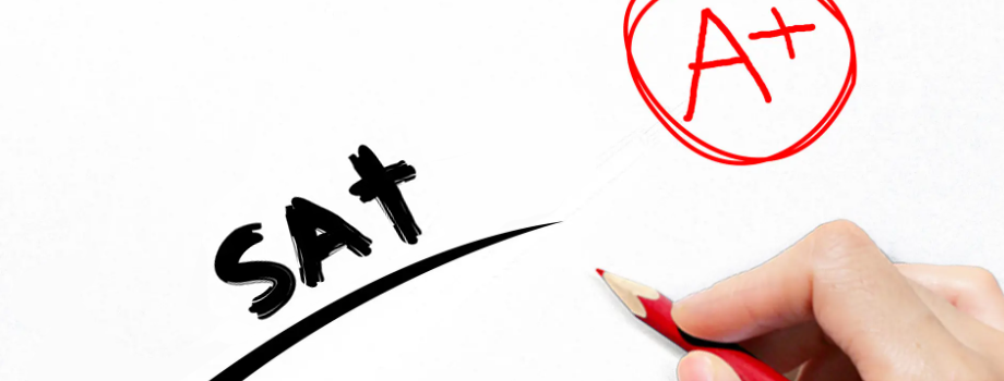 ʯ��ׯSAT��ѵ�������ô��ϰSAT