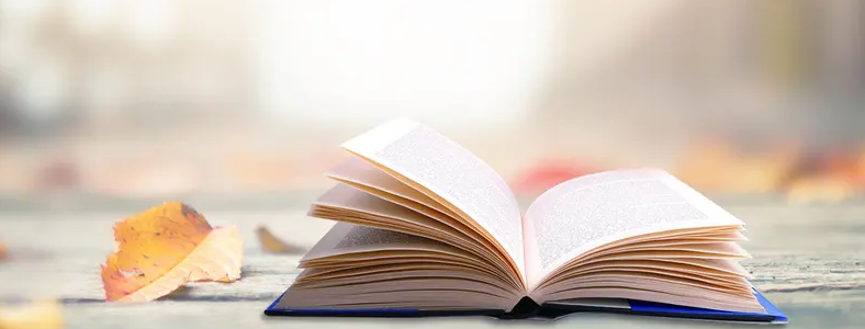 �и�������������Ǯ