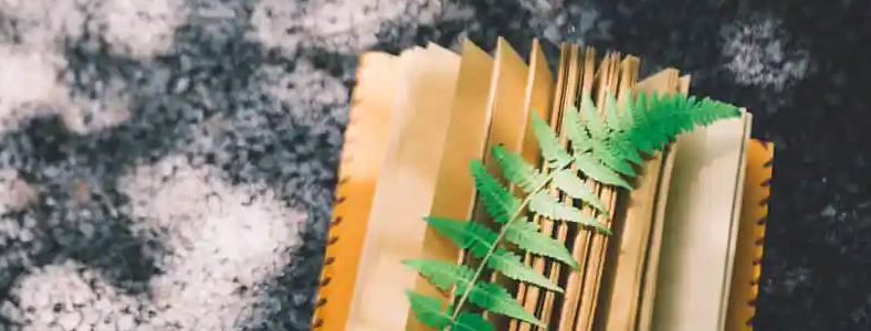 ������ѧ���ɼ������۷���