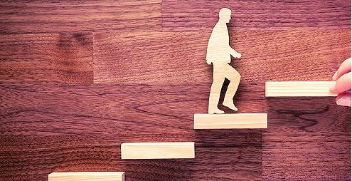 С���ӱ������ѧʲô