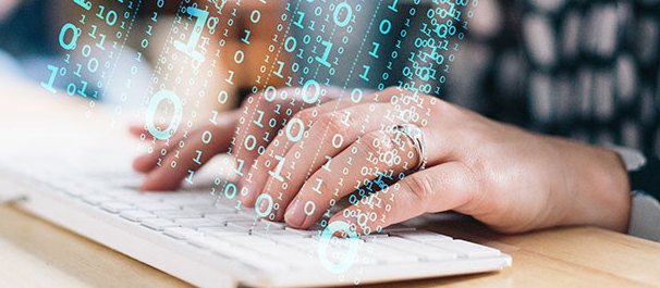 С��ѧ�����˱�̵�����