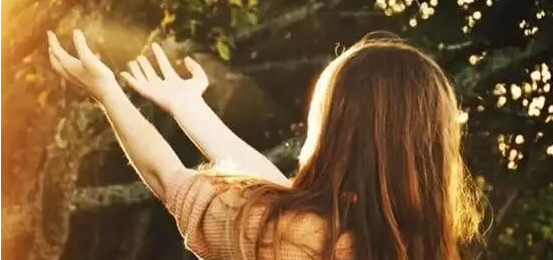 ����ָ��ʦ֤������Ͽ���