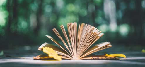 Ӫ��ʦ��ѵ��Ҫ����Ǯ