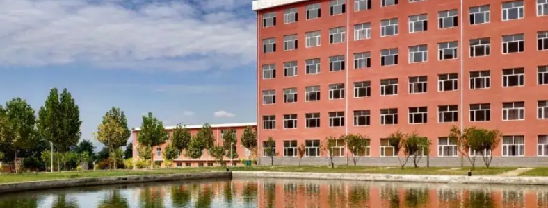 �ӱ���������רҵ����