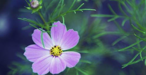 ע�ỷ������ʦ23�걨��ʱ����ʲôʱ��