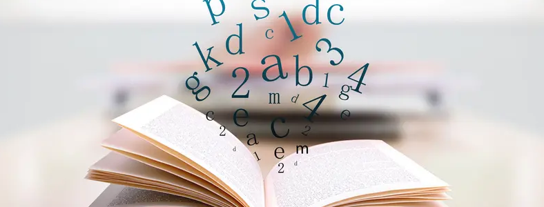 ����������˶ʿ