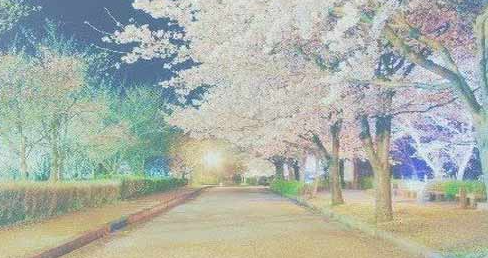 ������У��û����ô�ϱ��ƴ�ѧ