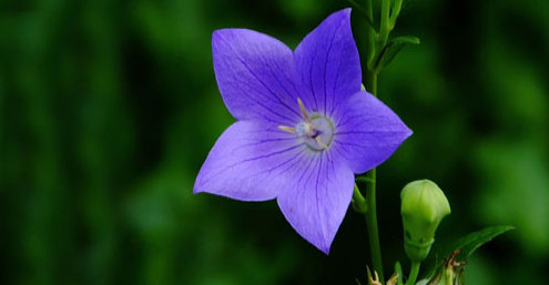 �ǻ���רҵ�ܿ���������ʦ��