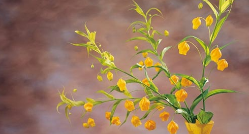 ����Ӱ�����۹���ʦ����רҵ���ձ�