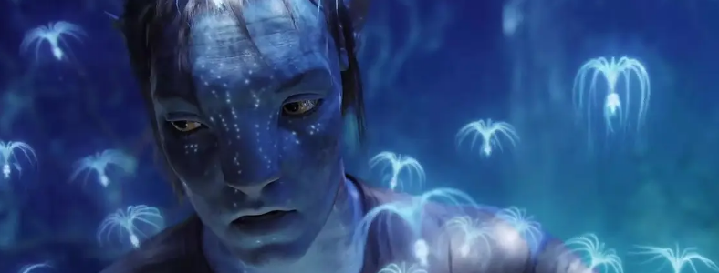 Ӱ����Чʦ��ǰ;��