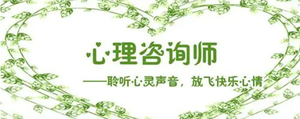 ������ѯʦ��н��ˮƽ